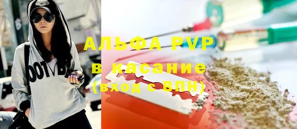 сатива Волоколамск