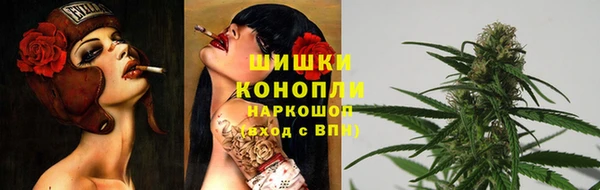 сатива Волоколамск