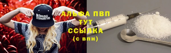 сатива Волоколамск
