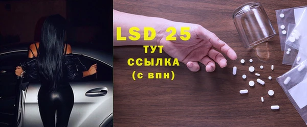 сатива Волоколамск