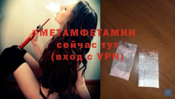 сатива Волоколамск