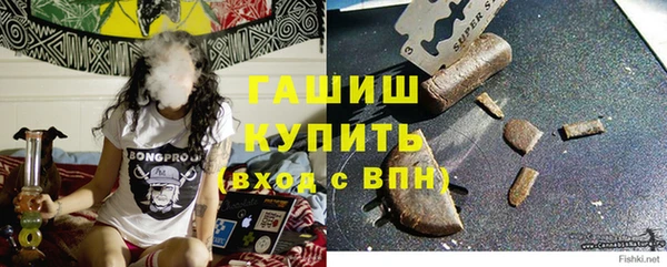 сатива Волоколамск