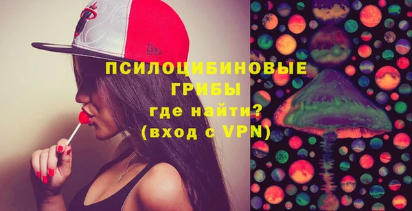 сатива Волоколамск
