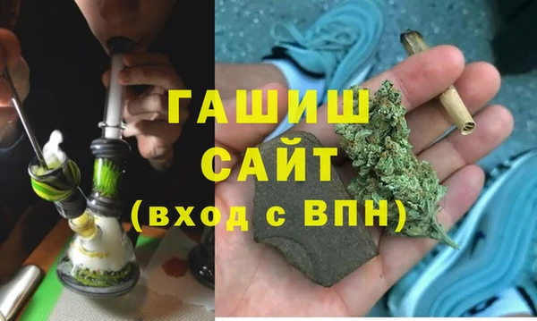 сатива Волоколамск