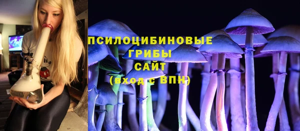 сатива Волоколамск