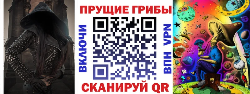 Псилоцибиновые грибы Psilocybe  Купить  Октябрьск 