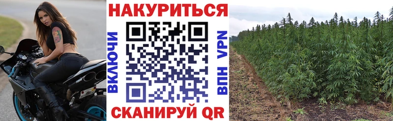 Купить где  Октябрьск  Каннабис MAZAR 